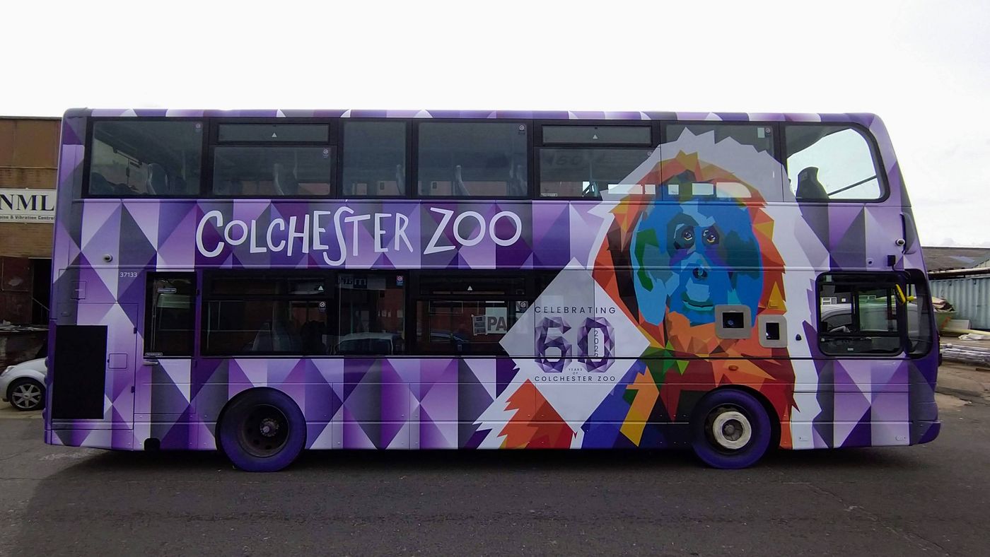 60 years of Colchester Zoo